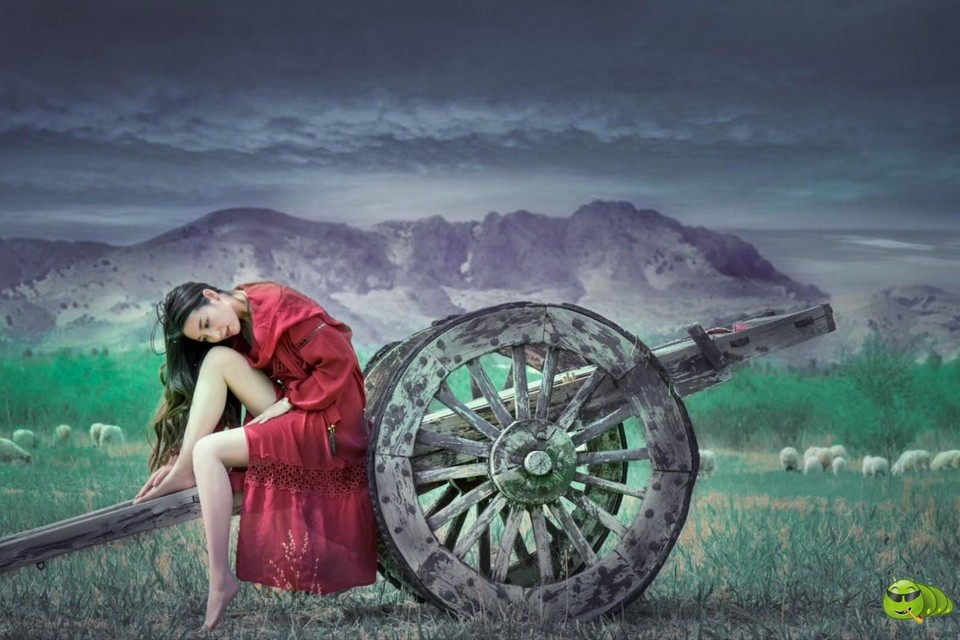 mmexport1598150197527