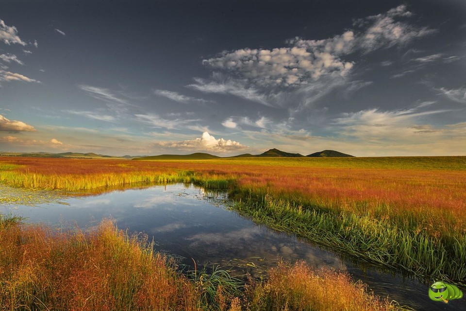 mmexport1598004926507