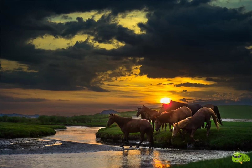 mmexport1597926551248