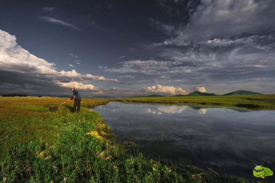 mmexport1597411105562