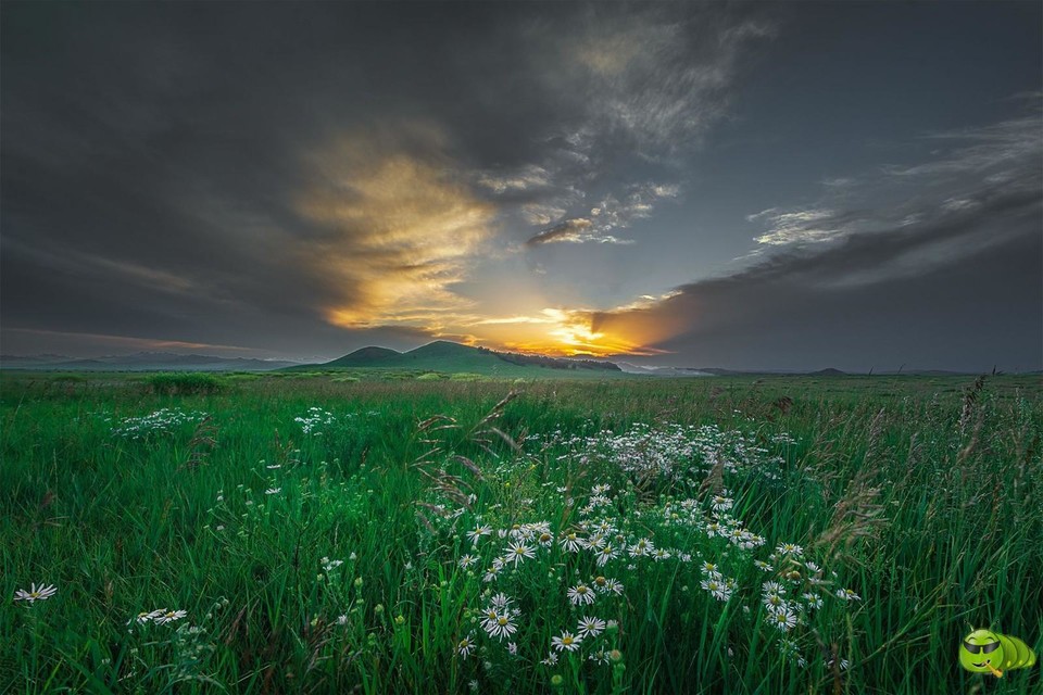 mmexport1598174355455