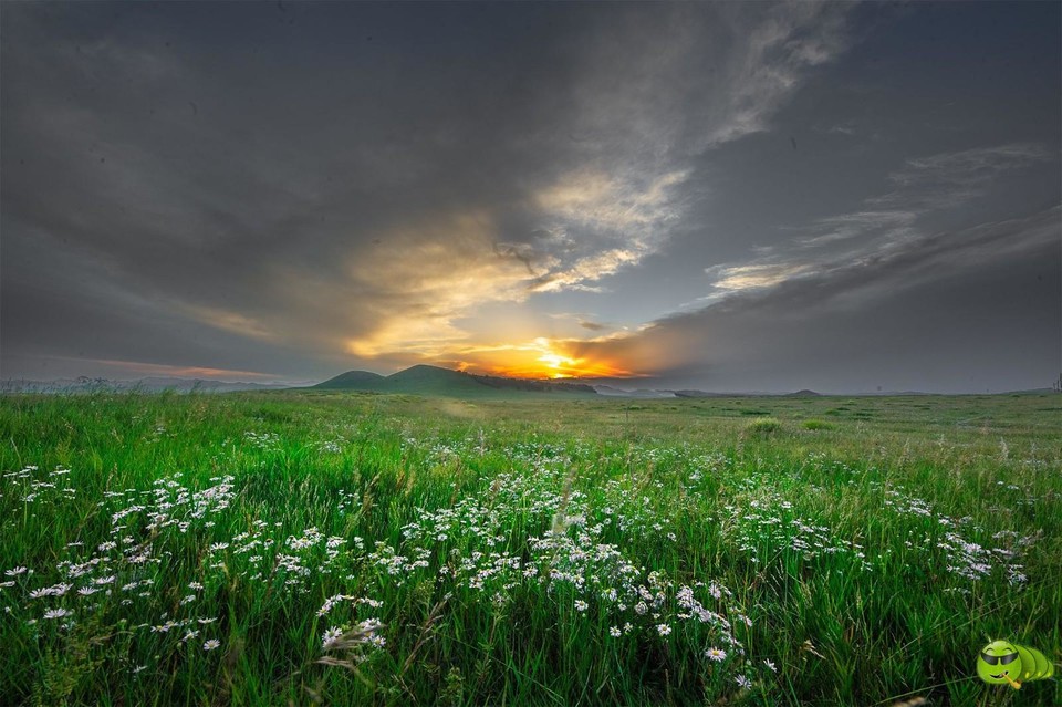 mmexport1598063926807