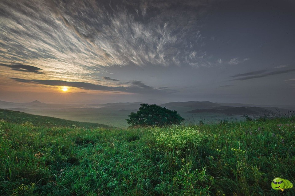 mmexport1596876771313