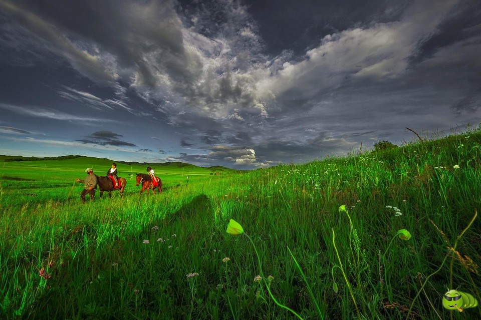 mmexport1626399877556