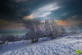 mmexport1703390287386