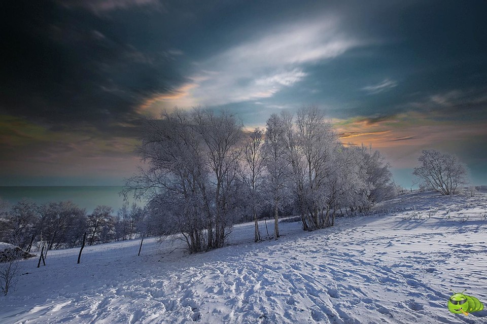 mmexport1703390287386