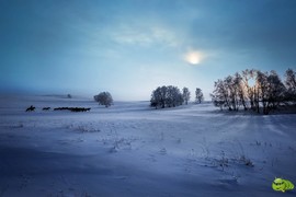 mmexport1703390291729