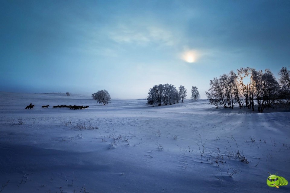 mmexport1703390291729