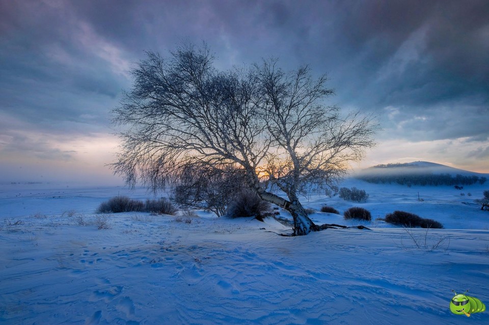 mmexport1703390279627