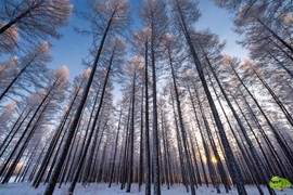 mmexport1703390285054