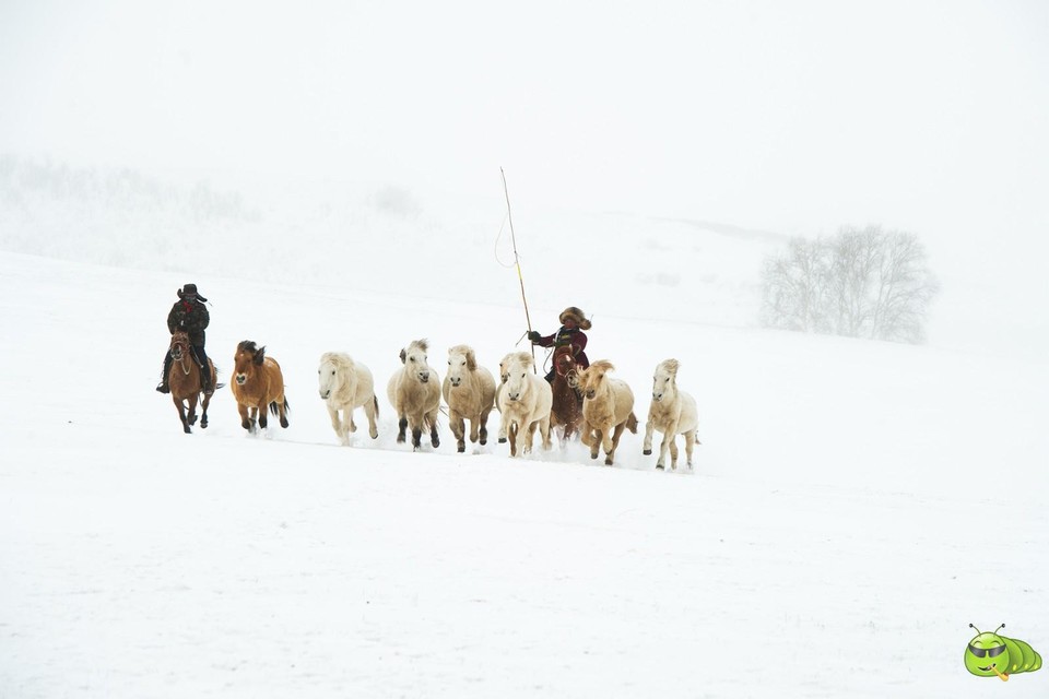 mmexport1702258716386