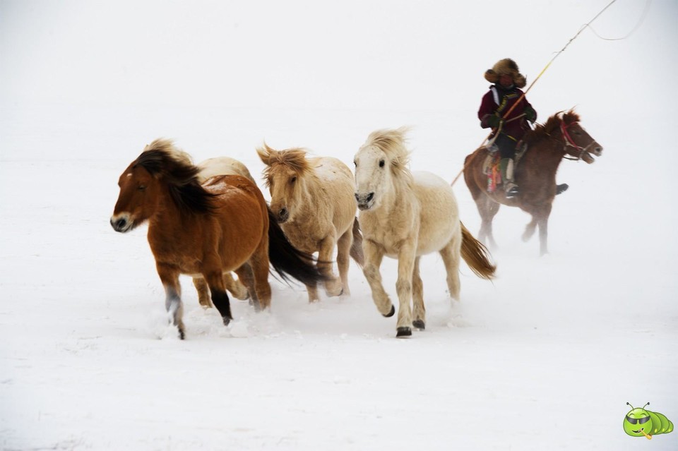 mmexport1702258713316