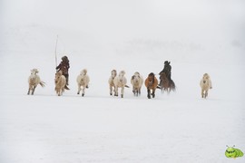 mmexport1702258709627