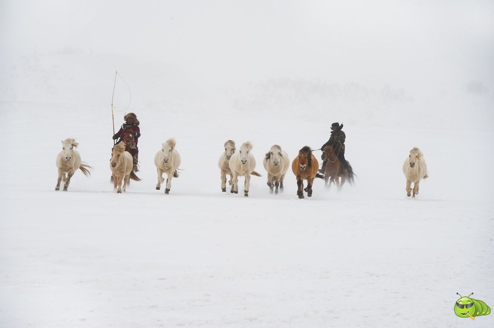 mmexport1702258709627