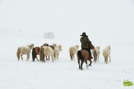 mmexport1702258699808