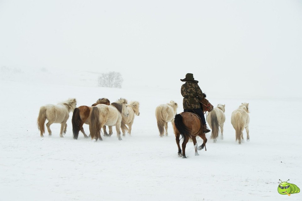 mmexport1702258699808