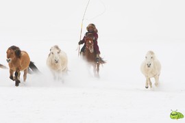 mmexport1702258703598