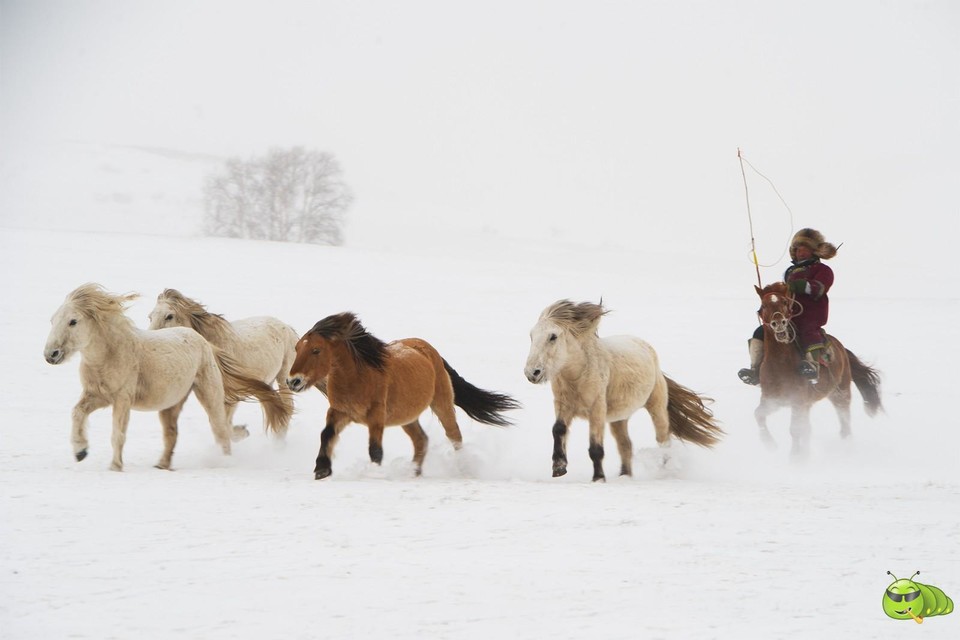 mmexport1702258705443