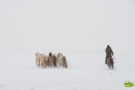 mmexport1702258707353