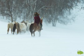 mmexport1702258698003