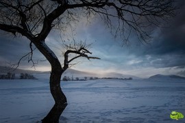 mmexport1702008176733