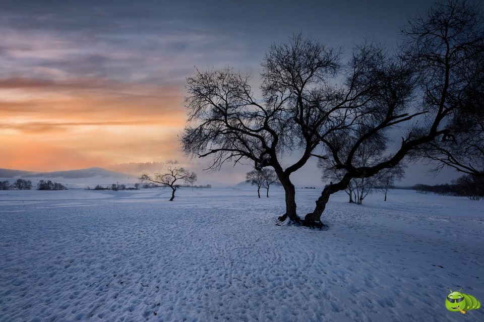 mmexport1702008166593