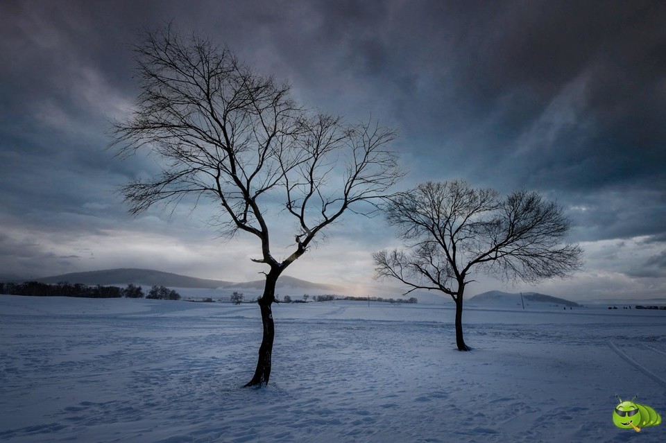 mmexport1702008174480