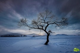 mmexport1702008172245