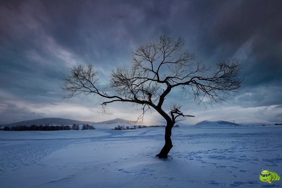 mmexport1702008172245