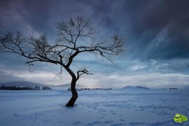 mmexport1702008169418