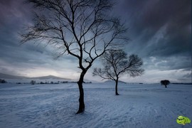 mmexport1702008153273