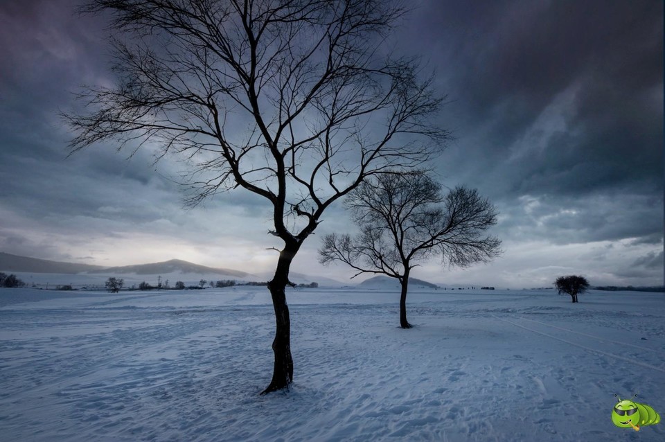 mmexport1702008153273