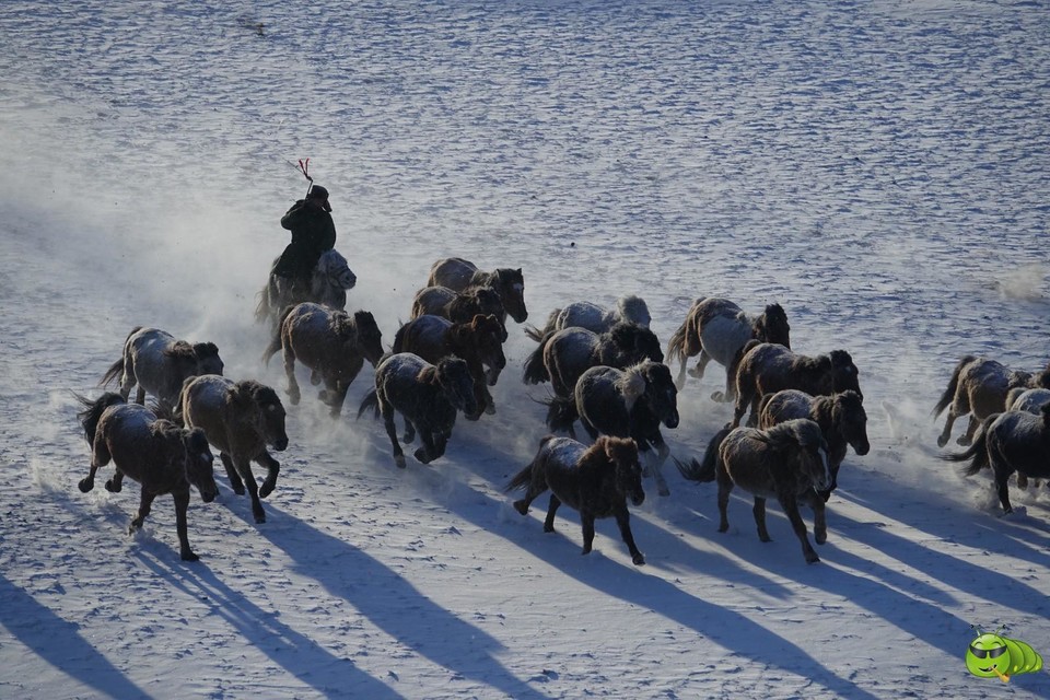 mmexport1702008127915