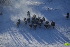 mmexport1701940030302