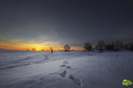 mmexport1701747232329