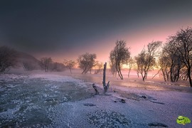 mmexport1701747241520