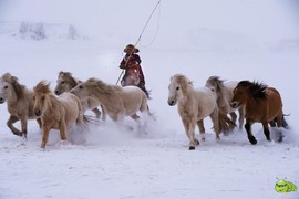 mmexport1701179531348