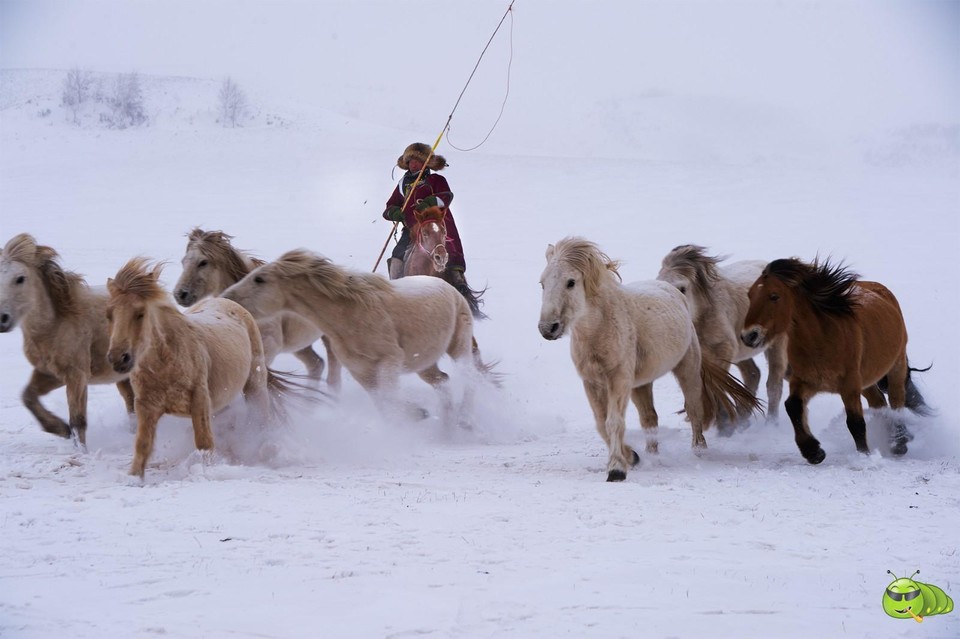 mmexport1701179531348