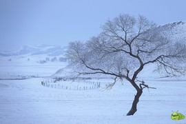 mmexport1701174654169