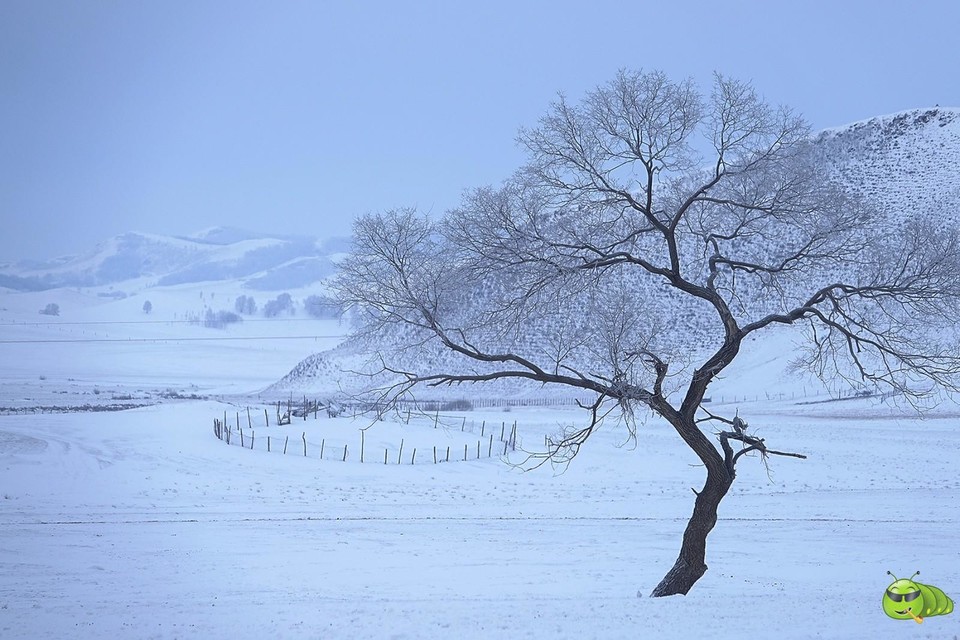 mmexport1701174654169