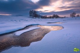 mmexport1701139519325