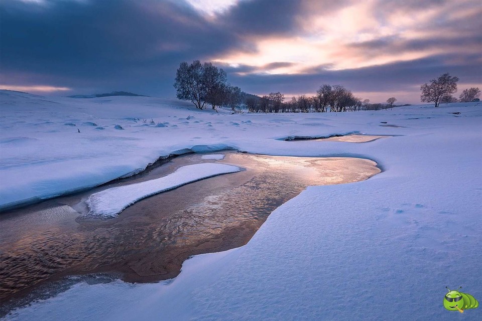 mmexport1701139519325