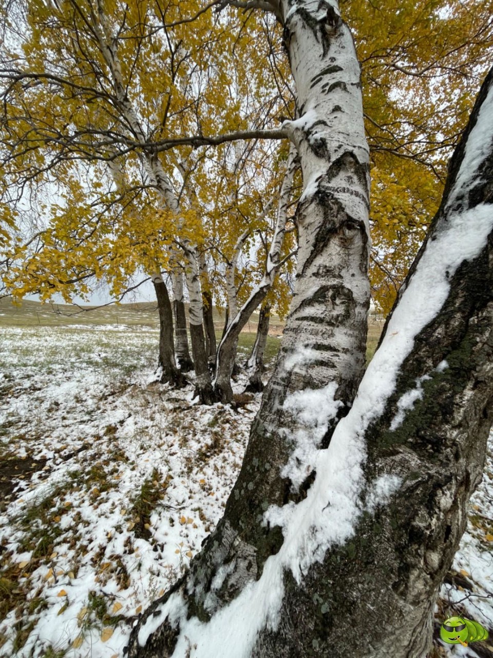 mmexport1727929220547