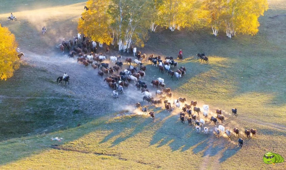 mmexport1727334417670