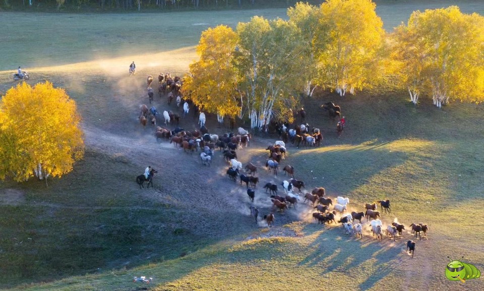 mmexport1727334414863