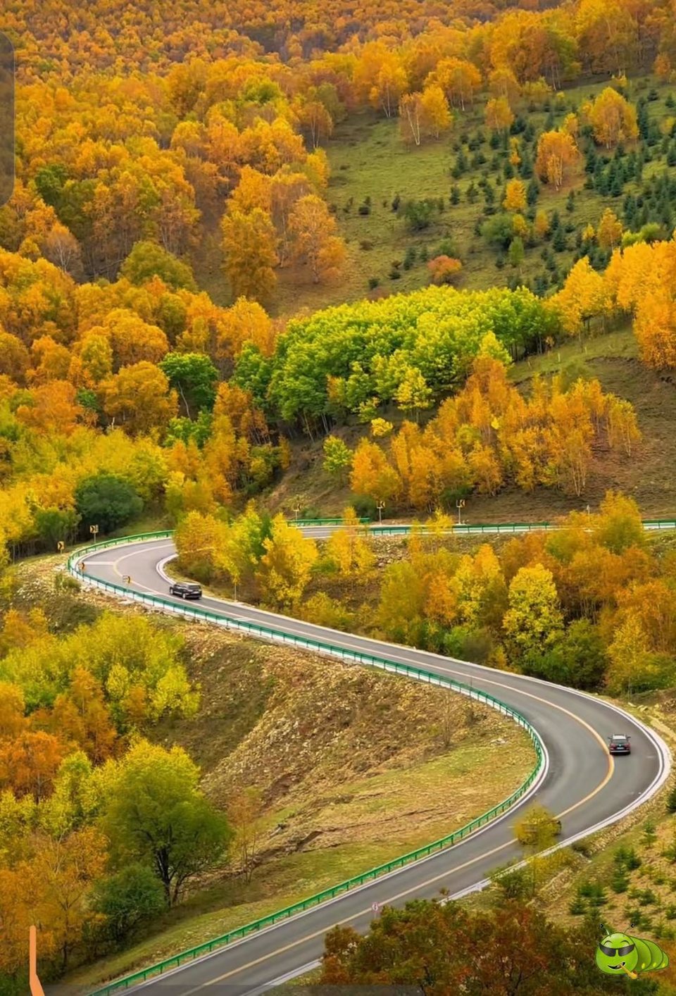 mmexport1727128378492