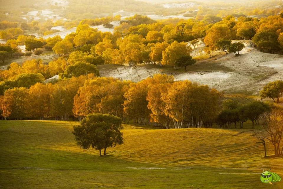 mmexport1727127884571