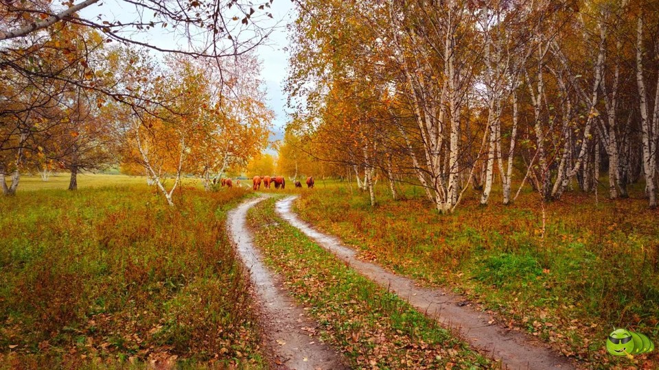 mmexport1726981645425