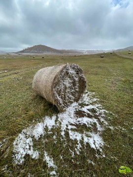 mmexport1727929226933