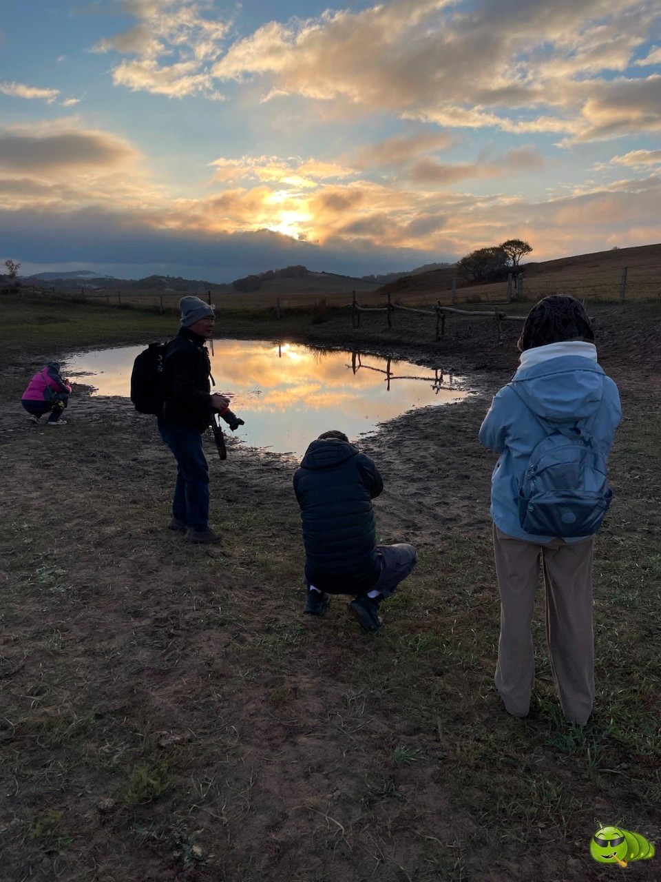 mmexport1727735931768